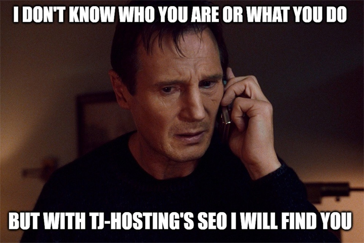 Help Liam Neeson find your website with TJ-Hosting's SEO services.